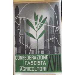 TESSERA DELLA CONFEDERAZIONE FASCISTA DEGLI AGRICOLTORI, ANNO XVII