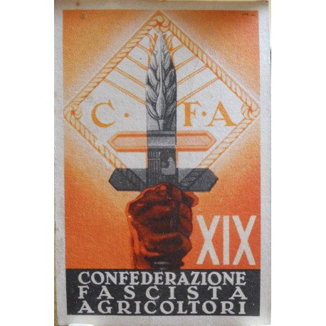 TESSERA DELLA CONFEDERAZIONE NAZIONALE FASCISTA DEGLI AGRICOLTORI, ALESSANDRIA, ANNO XIX